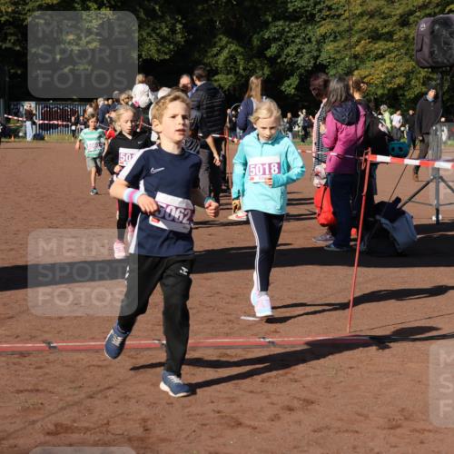 27.09.2026 - 35. Volkslauf durch das schöne Alstertal Strokosch-Dieckow http://msf.ph/oto/10587582 27.09.2026 10:45:29 Ziel 0909, 50, 5062, 5018, 5017, 5018, 5060, 5062 meine-sportfotos.de