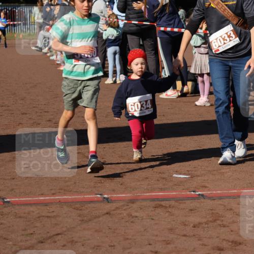 27.09.2026 - 35. Volkslauf durch das schöne Alstertal Strokosch-Dieckow http://msf.ph/oto/10587594 27.09.2026 10:45:34 Ziel 6034, 6033, 5030, 5060 meine-sportfotos.de