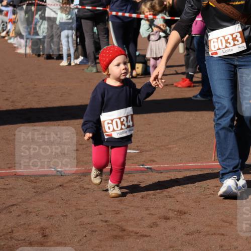 27.09.2026 - 35. Volkslauf durch das schöne Alstertal Strokosch-Dieckow http://msf.ph/oto/10587596 27.09.2026 10:45:36 Ziel 6034, 6033, 5030, 5060 meine-sportfotos.de