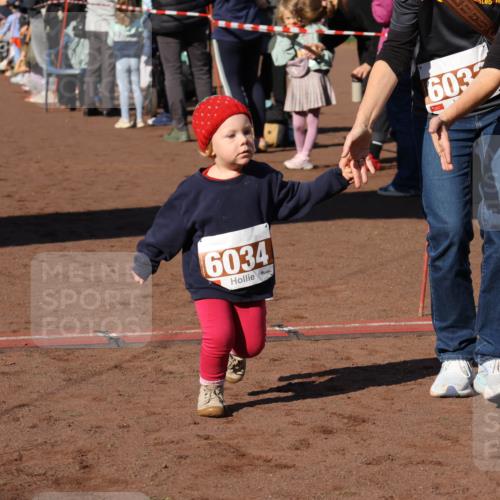 27.09.2026 - 35. Volkslauf durch das schöne Alstertal Strokosch-Dieckow http://msf.ph/oto/10587600 27.09.2026 10:45:36 Ziel 6034, 603, 5030, 5060 meine-sportfotos.de