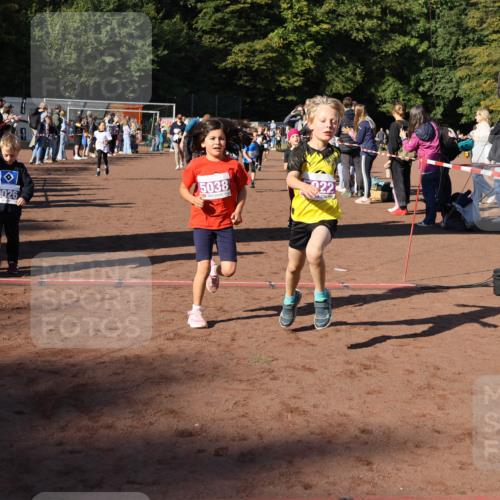 27.09.2026 - 35. Volkslauf durch das schöne Alstertal Strokosch-Dieckow http://msf.ph/oto/10587638 27.09.2026 10:46:10 Ziel 6026, 5038, 5019, 5022, 5023, 5029, 5038, 5039, 5045, 5074, 5975, 5980 meine-sportfotos.de