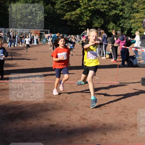 27.09.2026 - 35. Volkslauf durch das schöne Alstertal Strokosch-Dieckow http://msf.ph/oto/10587639 27.09.2026 10:46:10 Ziel 5026, 5038, 5022, 5019, 5022, 5023, 5029, 5038, 5039, 5045, 5074, 5975, 5980 meine-sportfotos.de