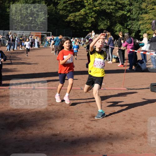 27.09.2026 - 35. Volkslauf durch das schöne Alstertal Strokosch-Dieckow http://msf.ph/oto/10587640 27.09.2026 10:46:10 Ziel 6026, 5022, 5019, 5022, 5023, 5029, 5038, 5039, 5045, 5074, 5975, 5980 meine-sportfotos.de