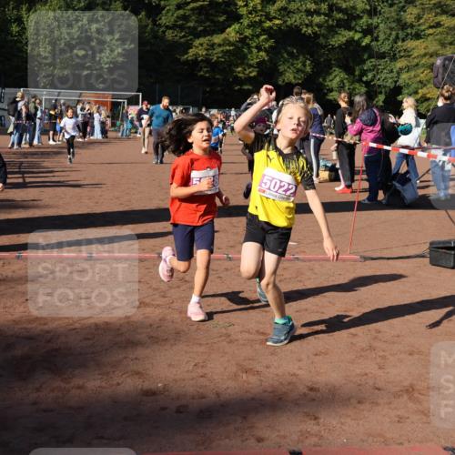 27.09.2026 - 35. Volkslauf durch das schöne Alstertal Strokosch-Dieckow http://msf.ph/oto/10587642 27.09.2026 10:46:11 Ziel 6026, 5022, 5019, 5022, 5023, 5029, 5038, 5039, 5045, 5051, 5074, 5975, 5980 meine-sportfotos.de