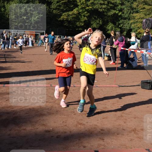27.09.2026 - 35. Volkslauf durch das schöne Alstertal Strokosch-Dieckow http://msf.ph/oto/10587643 27.09.2026 10:46:11 Ziel 6026, 038, 5022, 5019, 5022, 5023, 5029, 5038, 5039, 5045, 5051, 5074, 5975, 5980 meine-sportfotos.de