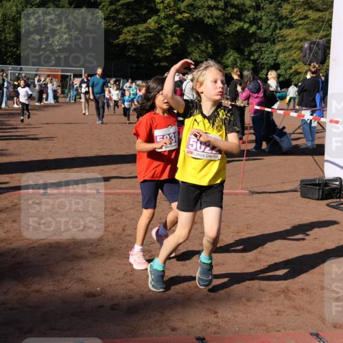 27.09.2026 - 35. Volkslauf durch das schöne Alstertal Strokosch-Dieckow http://msf.ph/oto/10587648 27.09.2026 10:46:11 Ziel 6026, 503, 502, 5019, 5022, 5023, 5029, 5038, 5039, 5045, 5051, 5074, 5975, 5980 meine-sportfotos.de