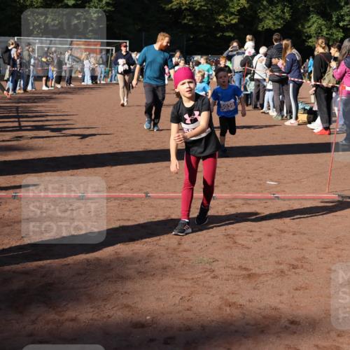 27.09.2026 - 35. Volkslauf durch das schöne Alstertal Strokosch-Dieckow http://msf.ph/oto/10587649 27.09.2026 10:46:13 Ziel 6026, 5074, 5039, 5019, 5022, 5023, 5026, 5027, 5029, 5039, 5045, 5051, 5055, 5058, 5074, 5975 meine-sportfotos.de