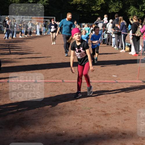 27.09.2026 - 35. Volkslauf durch das schöne Alstertal Strokosch-Dieckow http://msf.ph/oto/10587652 27.09.2026 10:46:14 Ziel 26, 045, 5019, 5023, 5026, 5027, 5029, 5039, 5045, 5051, 5055, 5058, 5074, 5975 meine-sportfotos.de