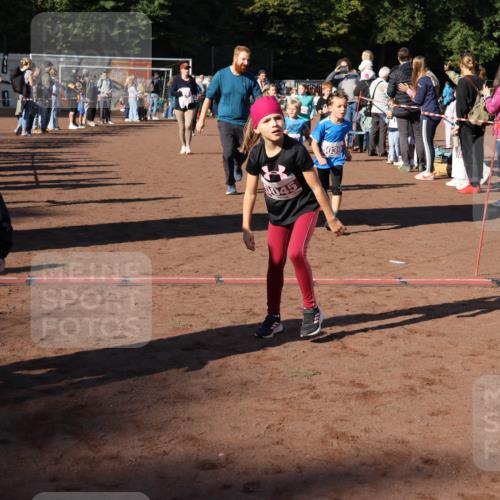 27.09.2026 - 35. Volkslauf durch das schöne Alstertal Strokosch-Dieckow http://msf.ph/oto/10587653 27.09.2026 10:46:14 Ziel 26, 045, 5039, 5019, 5023, 5026, 5027, 5029, 5039, 5045, 5051, 5055, 5058, 5074, 5975 meine-sportfotos.de