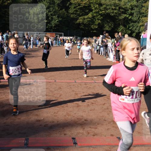 27.09.2026 - 35. Volkslauf durch das schöne Alstertal Strokosch-Dieckow http://msf.ph/oto/10587662 27.09.2026 10:46:28 Ziel 5004, 5984, 5977, 010, 1005, 5004, 5009, 5010, 5040, 5073, 5976, 5977, 5979, 5984 meine-sportfotos.de