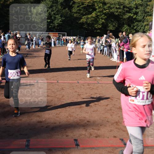 27.09.2026 - 35. Volkslauf durch das schöne Alstertal Strokosch-Dieckow http://msf.ph/oto/10587663 27.09.2026 10:46:28 Ziel 5004, 5977, 010, 09, 5004, 5009, 5010, 5040, 5073, 5976, 5977, 5979, 5984 meine-sportfotos.de