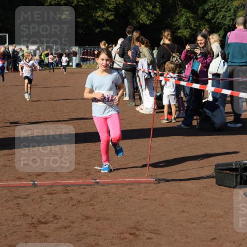 27.09.2026 - 35. Volkslauf durch das schöne Alstertal Strokosch-Dieckow http://msf.ph/oto/10587690 27.09.2026 10:46:43 Ziel 5061, 5372, 5007, 5037, 5042, 5044, 5061 meine-sportfotos.de