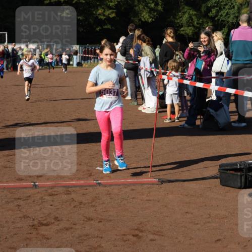 27.09.2026 - 35. Volkslauf durch das schöne Alstertal Strokosch-Dieckow http://msf.ph/oto/10587691 27.09.2026 10:46:43 Ziel 5007, 5061, 5037, 5007, 5037, 5042, 5044, 5061 meine-sportfotos.de
