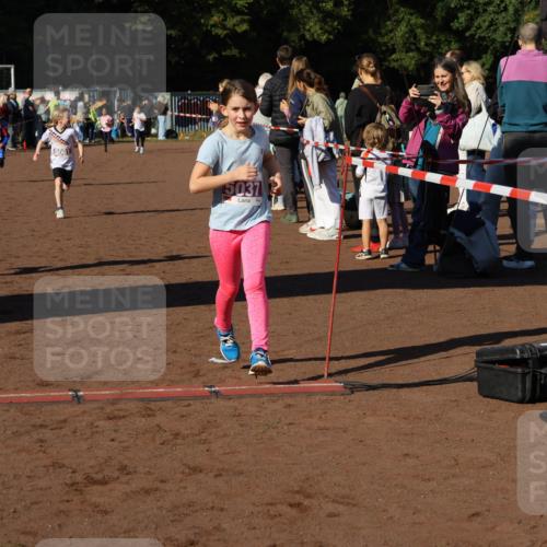 27.09.2026 - 35. Volkslauf durch das schöne Alstertal Strokosch-Dieckow http://msf.ph/oto/10587692 27.09.2026 10:46:43 Ziel 50, 5061, 5037, 5007, 5037, 5042, 5044, 5061 meine-sportfotos.de