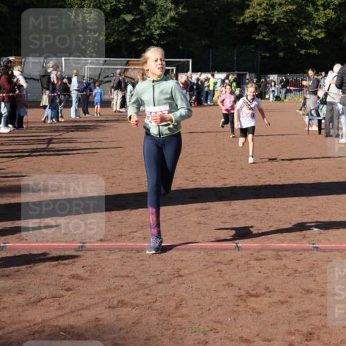 27.09.2026 - 35. Volkslauf durch das schöne Alstertal Strokosch-Dieckow http://msf.ph/oto/10587697 27.09.2026 10:46:45 Ziel 15061, 5007, 5037, 5042, 5044, 5061 meine-sportfotos.de