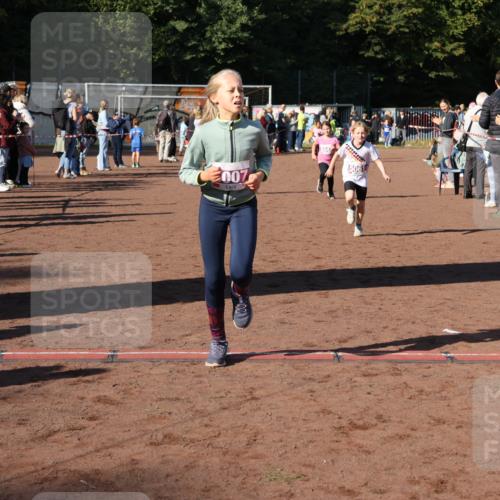 27.09.2026 - 35. Volkslauf durch das schöne Alstertal Strokosch-Dieckow http://msf.ph/oto/10587699 27.09.2026 10:46:45 Ziel 007, 5061, 5007, 5037, 5042, 5044, 5061 meine-sportfotos.de