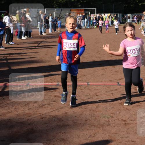 27.09.2026 - 35. Volkslauf durch das schöne Alstertal Strokosch-Dieckow http://msf.ph/oto/10587711 27.09.2026 10:46:50 Ziel 5044, 15042, 5033, 5035, 5042, 5044, 5052, 5061 meine-sportfotos.de