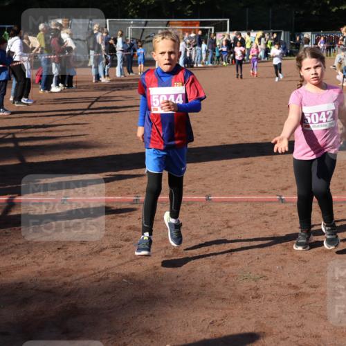 27.09.2026 - 35. Volkslauf durch das schöne Alstertal Strokosch-Dieckow http://msf.ph/oto/10587712 27.09.2026 10:46:50 Ziel 5044, 5042, 5033, 5035, 5042, 5044, 5052, 5061 meine-sportfotos.de