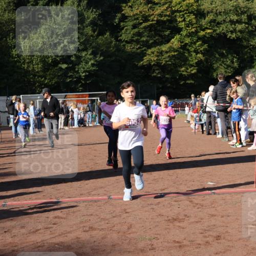 27.09.2026 - 35. Volkslauf durch das schöne Alstertal Strokosch-Dieckow http://msf.ph/oto/10587713 27.09.2026 10:46:58 Ziel 052, 5035, 5014, 5033, 5035, 5052, 5981 meine-sportfotos.de