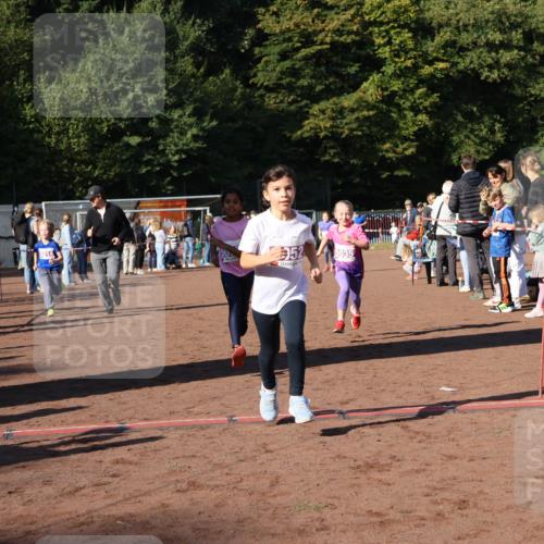 27.09.2026 - 35. Volkslauf durch das schöne Alstertal Strokosch-Dieckow http://msf.ph/oto/10587714 27.09.2026 10:46:58 Ziel 5014, 952, 5035, 5014, 5033, 5035, 5052, 5981 meine-sportfotos.de
