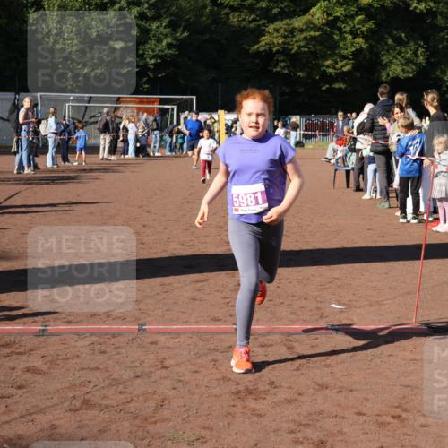 27.09.2026 - 35. Volkslauf durch das schöne Alstertal Strokosch-Dieckow http://msf.ph/oto/10587730 27.09.2026 10:47:07 Ziel 5981, 5054, 5981 meine-sportfotos.de