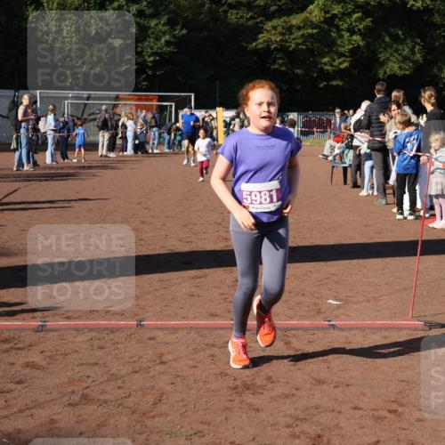 27.09.2026 - 35. Volkslauf durch das schöne Alstertal Strokosch-Dieckow http://msf.ph/oto/10587732 27.09.2026 10:47:07 Ziel 5981, 5054, 5981 meine-sportfotos.de