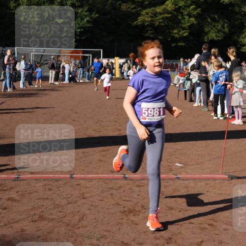 27.09.2026 - 35. Volkslauf durch das schöne Alstertal Strokosch-Dieckow http://msf.ph/oto/10587734 27.09.2026 10:47:07 Ziel 5981, 5054, 5981 meine-sportfotos.de