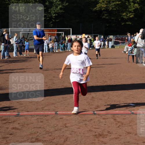 27.09.2026 - 35. Volkslauf durch das schöne Alstertal Strokosch-Dieckow http://msf.ph/oto/10587737 27.09.2026 10:47:12 Ziel 5054, 5048, 5049, 5053, 5054 meine-sportfotos.de