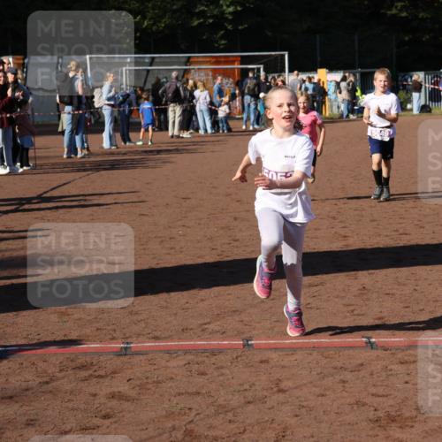 27.09.2026 - 35. Volkslauf durch das schöne Alstertal Strokosch-Dieckow http://msf.ph/oto/10587741 27.09.2026 10:47:17 Ziel 5049, 5048, 5049, 5053 meine-sportfotos.de