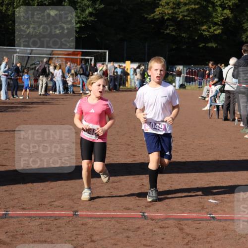 27.09.2026 - 35. Volkslauf durch das schöne Alstertal Strokosch-Dieckow http://msf.ph/oto/10587747 27.09.2026 10:47:20 Ziel 75049, 5048, 5049, 5053 meine-sportfotos.de