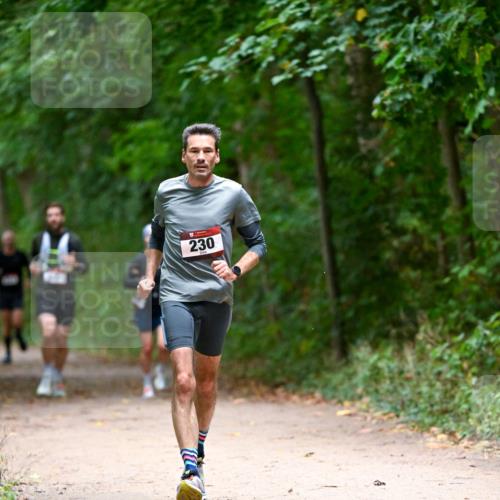 11.10.2026 - Bramfelder Halbmarathon 2026 Dr. Thomas Lammeyer http://msf.ph/oto/10815813 11.10.2026 09:50:01 Laufen 230 meine-sportfotos.de