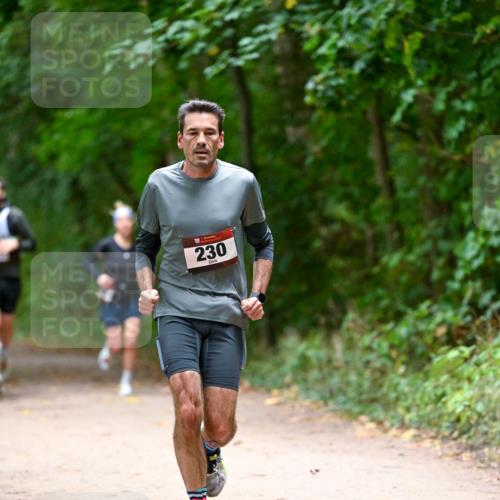 11.10.2026 - Bramfelder Halbmarathon 2026 Dr. Thomas Lammeyer http://msf.ph/oto/10815820 11.10.2026 09:50:02 Laufen 230 meine-sportfotos.de