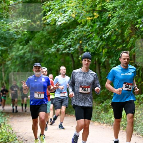 11.10.2026 - Bramfelder Halbmarathon 2026 Dr. Thomas Lammeyer http://msf.ph/oto/10815902 11.10.2026 09:50:17 Laufen 17, 77, 563, 562 meine-sportfotos.de