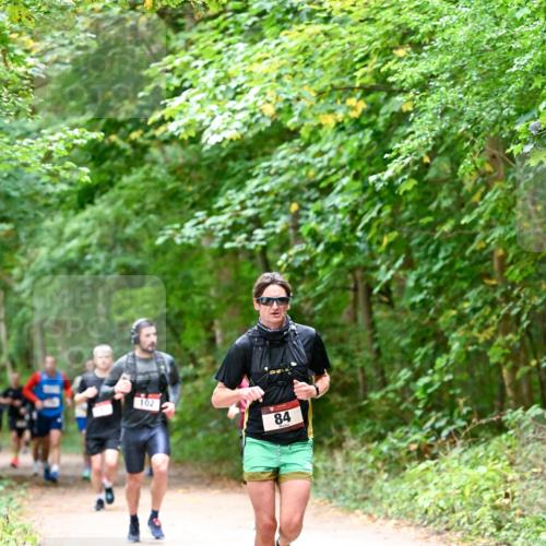 11.10.2026 - Bramfelder Halbmarathon 2026 Dr. Thomas Lammeyer http://msf.ph/oto/10815940 11.10.2026 09:50:27 Laufen 102, 84 meine-sportfotos.de