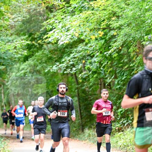 11.10.2026 - Bramfelder Halbmarathon 2026 Dr. Thomas Lammeyer http://msf.ph/oto/10815954 11.10.2026 09:50:29 Laufen 102, 101, 192 meine-sportfotos.de