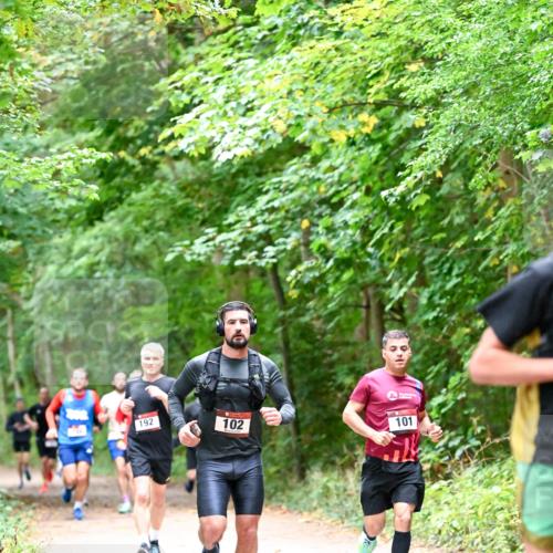 11.10.2026 - Bramfelder Halbmarathon 2026 Dr. Thomas Lammeyer http://msf.ph/oto/10815956 11.10.2026 09:50:29 Laufen 192, 102, 101 meine-sportfotos.de
