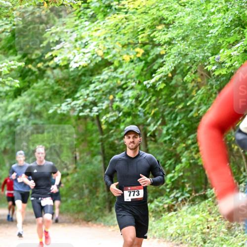 11.10.2026 - Bramfelder Halbmarathon 2026 Dr. Thomas Lammeyer http://msf.ph/oto/10815964 11.10.2026 09:50:36 Laufen 773 meine-sportfotos.de