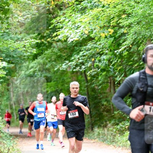 11.10.2026 - Bramfelder Halbmarathon 2026 Dr. Thomas Lammeyer http://msf.ph/oto/10815973 11.10.2026 09:50:31 Laufen 272, 155, 192, 10 meine-sportfotos.de