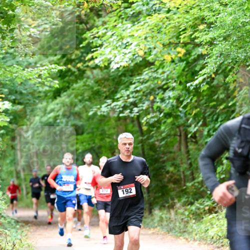 11.10.2026 - Bramfelder Halbmarathon 2026 Dr. Thomas Lammeyer http://msf.ph/oto/10815974 11.10.2026 09:50:31 Laufen 155, 272, 192 meine-sportfotos.de