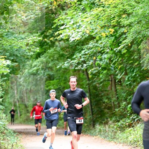 11.10.2026 - Bramfelder Halbmarathon 2026 Dr. Thomas Lammeyer http://msf.ph/oto/10815983 11.10.2026 09:50:38 Laufen 231, 43 meine-sportfotos.de