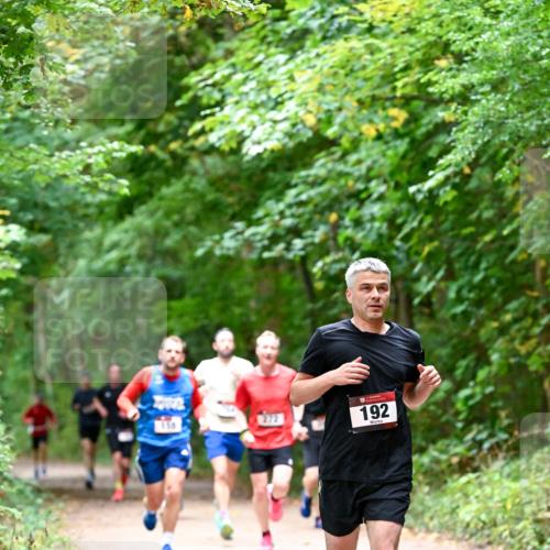 11.10.2026 - Bramfelder Halbmarathon 2026 Dr. Thomas Lammeyer http://msf.ph/oto/10815984 11.10.2026 09:50:32 Laufen 150, 192 meine-sportfotos.de