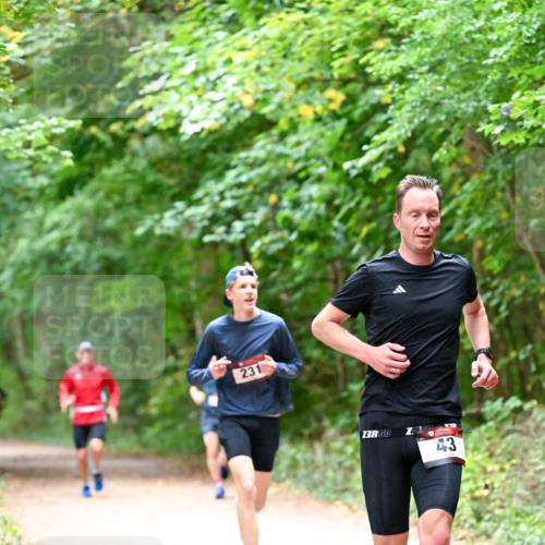 11.10.2026 - Bramfelder Halbmarathon 2026 Dr. Thomas Lammeyer http://msf.ph/oto/10816012 11.10.2026 09:50:40 Laufen 231, 3, 00 meine-sportfotos.de