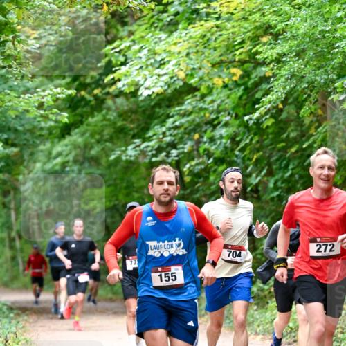 11.10.2026 - Bramfelder Halbmarathon 2026 Dr. Thomas Lammeyer http://msf.ph/oto/10816019 11.10.2026 09:50:34 Laufen 772, 155, 272, 704 meine-sportfotos.de