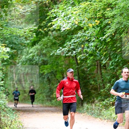 11.10.2026 - Bramfelder Halbmarathon 2026 Dr. Thomas Lammeyer http://msf.ph/oto/10816040 11.10.2026 09:50:43 Laufen 9 meine-sportfotos.de