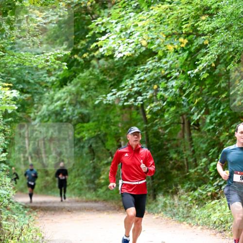 11.10.2026 - Bramfelder Halbmarathon 2026 Dr. Thomas Lammeyer http://msf.ph/oto/10816041 11.10.2026 09:50:44 Laufen 9 meine-sportfotos.de