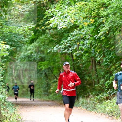 11.10.2026 - Bramfelder Halbmarathon 2026 Dr. Thomas Lammeyer http://msf.ph/oto/10816042 11.10.2026 09:50:44 Laufen  meine-sportfotos.de