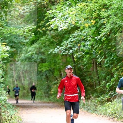 11.10.2026 - Bramfelder Halbmarathon 2026 Dr. Thomas Lammeyer http://msf.ph/oto/10816043 11.10.2026 09:50:44 Laufen  meine-sportfotos.de