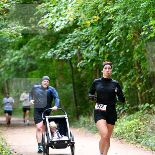 11.10.2026 - Bramfelder Halbmarathon 2026 Dr. Thomas Lammeyer http://msf.ph/oto/10816073 11.10.2026 09:50:59 Laufen 372 meine-sportfotos.de