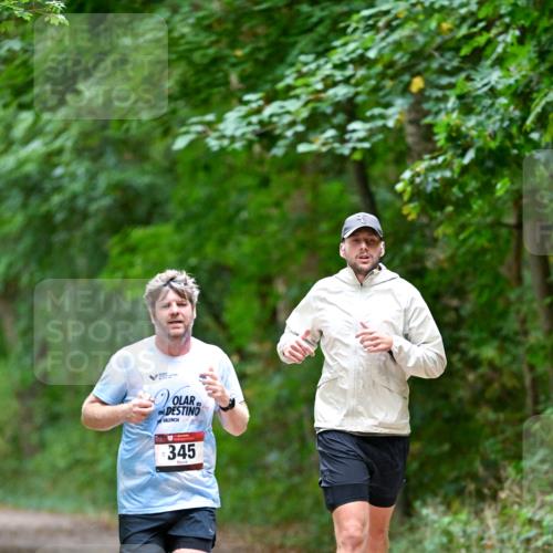 11.10.2026 - Bramfelder Halbmarathon 2026 Dr. Thomas Lammeyer http://msf.ph/oto/10816082 11.10.2026 09:51:05 Laufen 345 meine-sportfotos.de