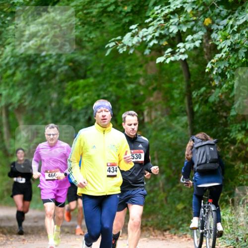 11.10.2026 - Bramfelder Halbmarathon 2026 Dr. Thomas Lammeyer http://msf.ph/oto/10816156 11.10.2026 09:51:54 Laufen 434, 466, 530 meine-sportfotos.de